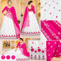 Beautiful embroidered net lehenga choli with dupatta.